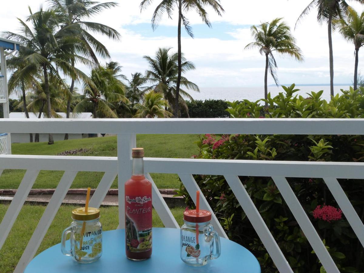 Studio Vue Mer Piscine Plage Kaz Punch Manganao Chez Julie Saint-Francois  Exterior foto