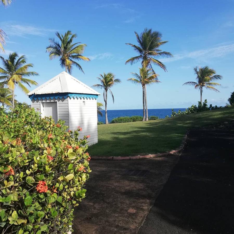 Studio Vue Mer Piscine Plage Kaz Punch Manganao Chez Julie Saint-Francois  Exterior foto